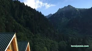Tnr Mavi Çatı Restoran Bungalov Konaklama Tnr Mavi Çatı Restoran Bungalov Konaklama