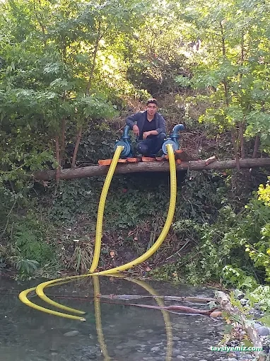 Topaloğlu Bobinaj