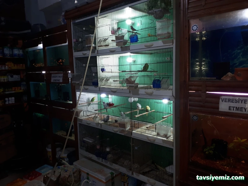 Tropikal Akvaryum & Pet Shop Tropikal Akvaryum & Pet Shop