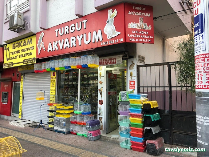 Turgut Akvaryum