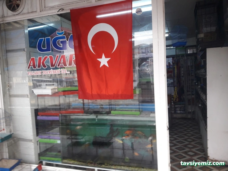 Uğur Akvaryum Uğur Akvaryum