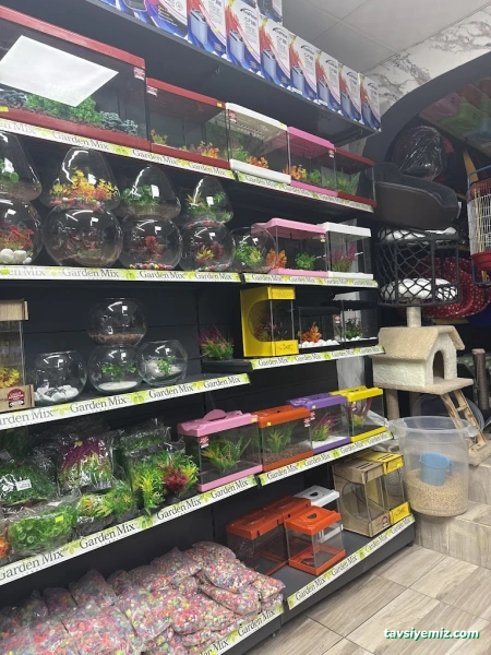 Umut Petshop Umut Petshop