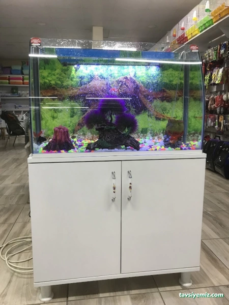Umut Petshop Umut Petshop