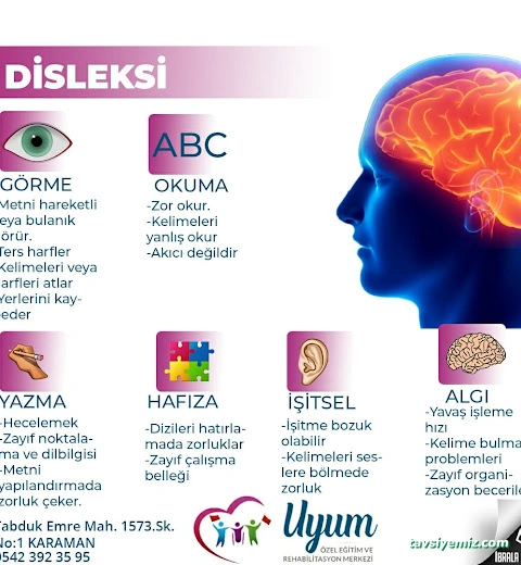 Uyum Özel Eğitim Ve Rehabilitasyon Merkezi Uyum Özel Eğitim Ve Rehabilitasyon Merkezi
