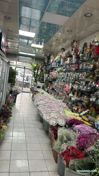 Van Dünyam Çiçek Van Dünyam Çiçek