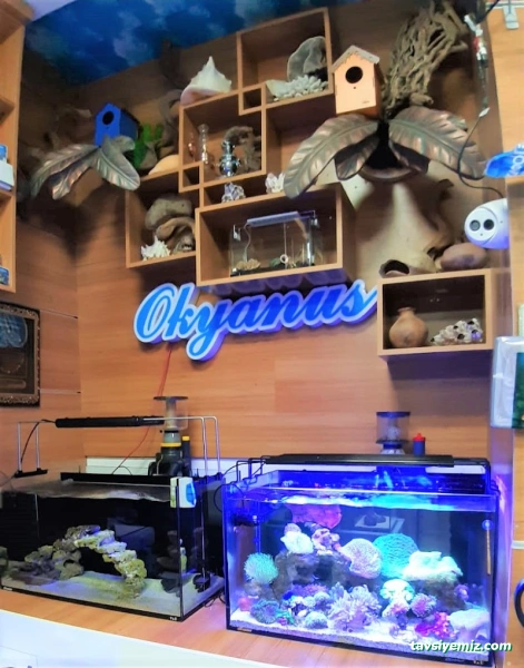 Van Okyanus Petshop Van Okyanus Petshop