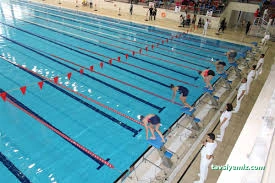 Van Olimpik Yüzme Van Olimpik Yüzme