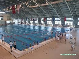 Van Olimpik Yüzme Van Olimpik Yüzme
