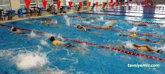 Van Olimpik Yüzme Van Olimpik Yüzme