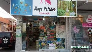 Van Petshop Mavi Su Petshop Ve Akvaryum Van Petshop Mavi Su Petshop Ve Akvaryum