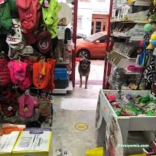 Van Petshop Mavi Su Petshop Ve Akvaryum Van Petshop Mavi Su Petshop Ve Akvaryum