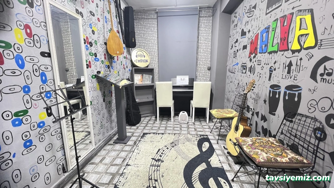 Van Resim Müzik Atölyesi Malva Van Resim Müzik Atölyesi Malva