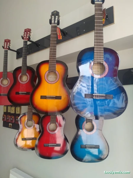 Vega Müzik Kursu Ve Sanat Akademisi Malatya Vega Müzik Kursu Ve Sanat Akademisi Malatya