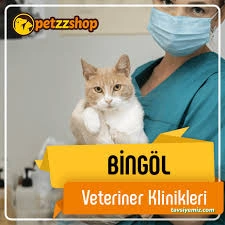 Veter-Pet Veteriner Kliniği Bingöl Veter-Pet Veteriner Kliniği Bingöl