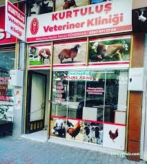 Veter-Pet Veteriner Kliniği Bingöl Veter-Pet Veteriner Kliniği Bingöl