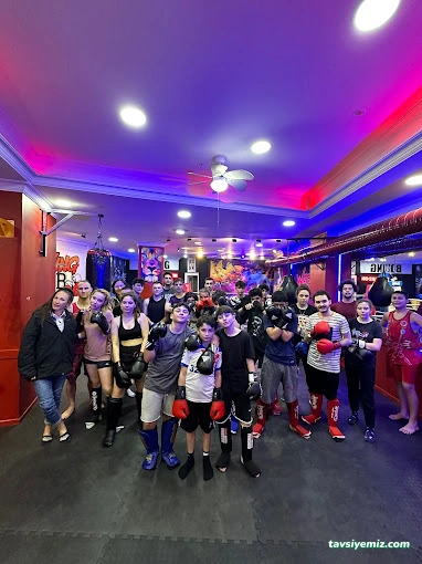 Warrıor Fıght Club (Savaşçı Dövüş Kulübü) Warrıor Fıght Club (Savaşçı Dövüş Kulübü)