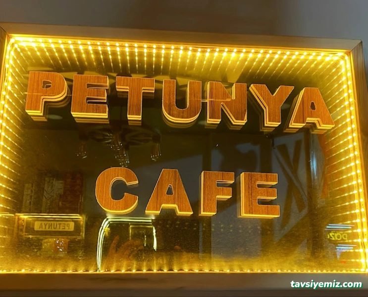 X Tobacco Petunya X Tobacco Petunya