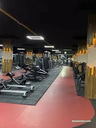 Xfit Platinum Spor Kompleksi