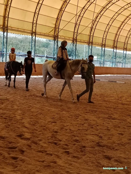 Yalova Atlı Spor Kulübü Yalova Atlı Spor Kulübü