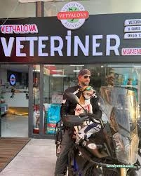 Yalova Veteriner Kliniği Yalova Veteriner Kliniği