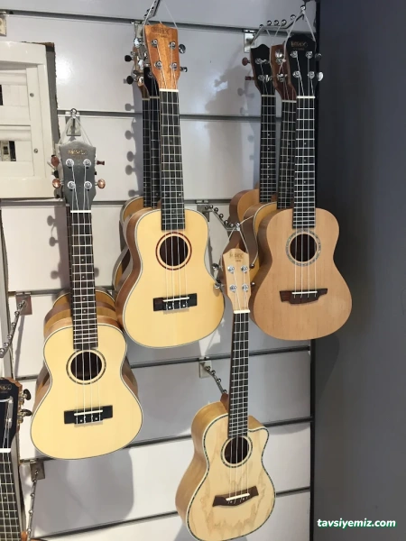 Yankı Müzik Aletleri Yankı Müzik Aletleri