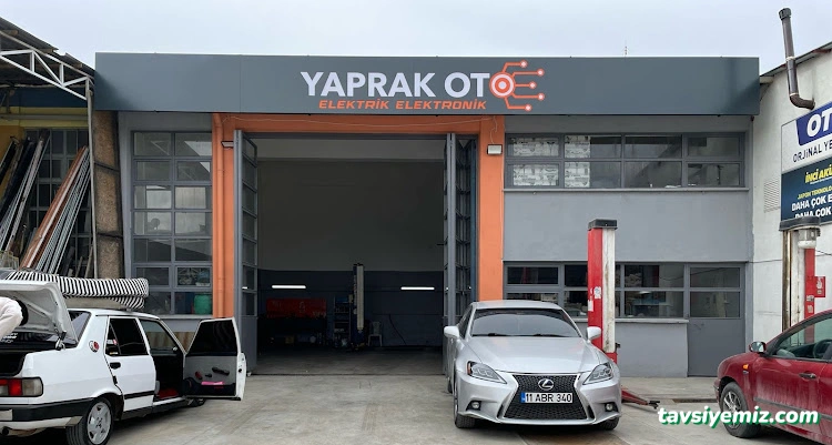 Yaprak Oto Beyin Elektrik/Elektronik Yaprak Oto Beyin Elektrik/Elektronik