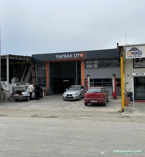 Yaprak Oto Beyin Elektrik/Elektronik Yaprak Oto Beyin Elektrik/Elektronik
