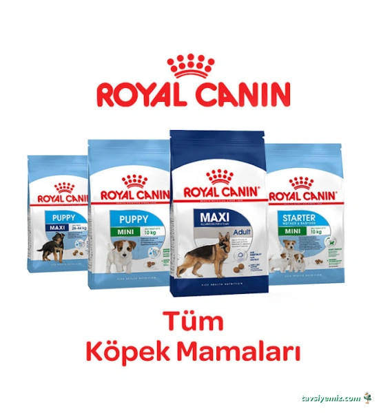 Yaşam Petshop