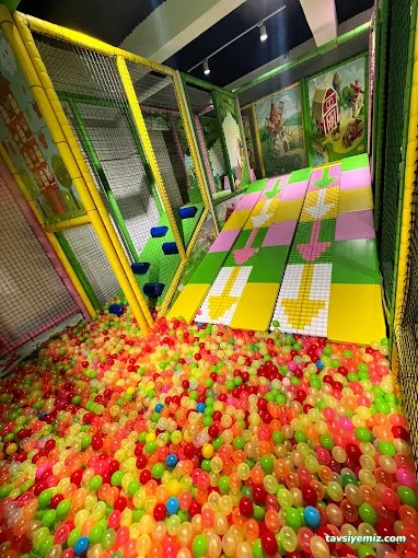 Yasra Wonderland Yasra Wonderland