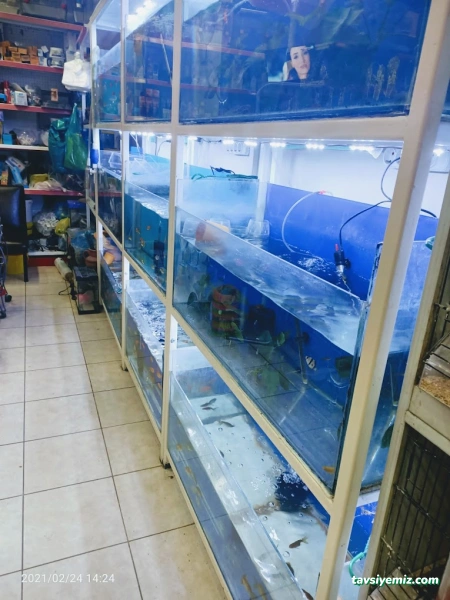 Yeni Doğuş Akvaryum Yeni Doğuş Akvaryum