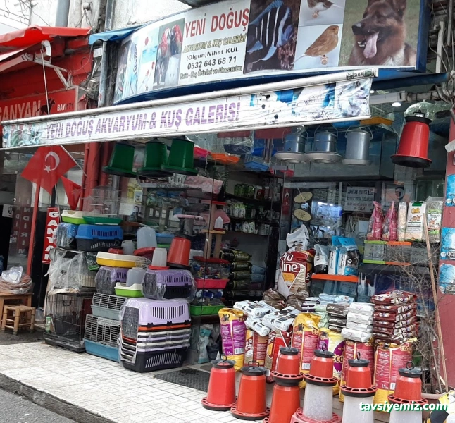 Yeni Doğuş Akvaryum Yeni Doğuş Akvaryum
