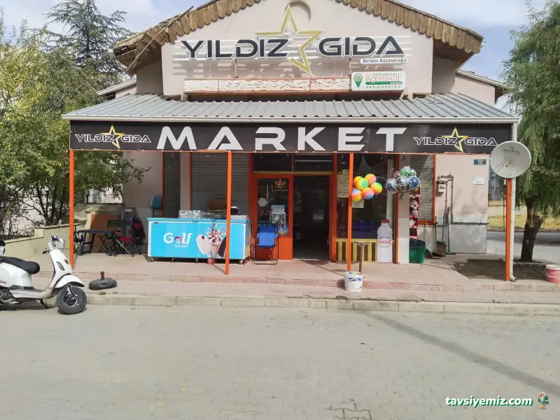 Yıldız Gıda