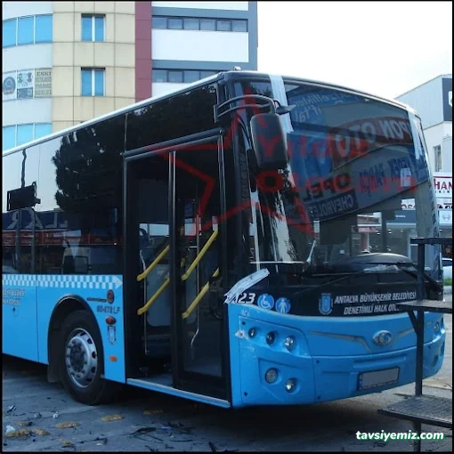 Yıldız Oto Cam Yıldız Oto Cam