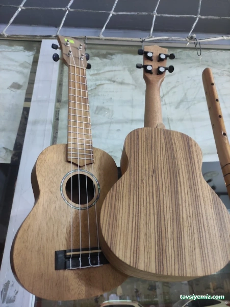 Yılmaz Müzik Ş.urfa Yılmaz Müzik Ş.urfa