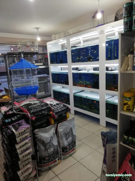 Yunus Akvaryum & Petshop Yunus Akvaryum & Petshop