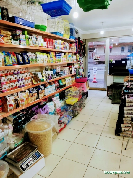 Yunus Akvaryum & Petshop Yunus Akvaryum & Petshop