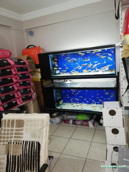 Yunus Akvaryum & Petshop Yunus Akvaryum & Petshop