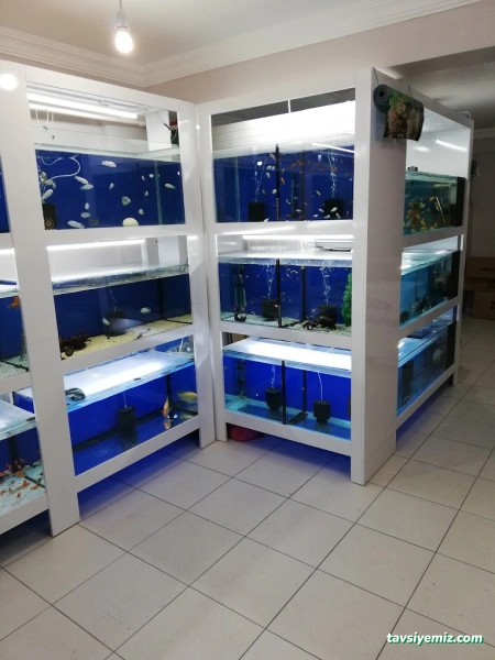 Yunus Akvaryum & Petshop Yunus Akvaryum & Petshop