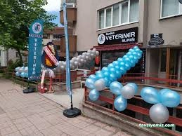 Zonguldak Candan Veteriner Kliniği Zonguldak Candan Veteriner Kliniği